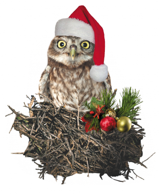 Fermeture annuelle congés  21 décembre au dimanche 5 janvier 2019